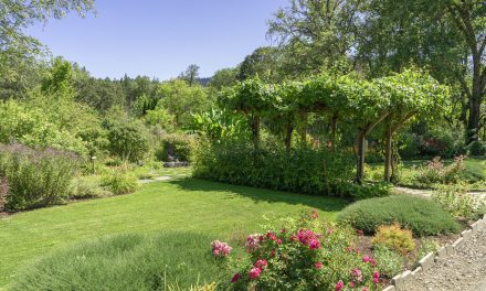 Second Annual Garden Picnic